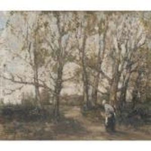 The Woodland Path
