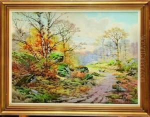 Chemin En Foret De Fontainebleau