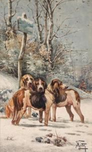 Chiens De Chasse Dans La Neige