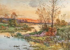 Paysage De Sologne