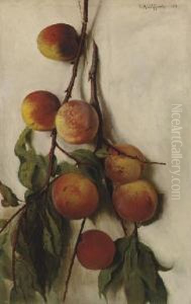 Peach Boughs - view 1
