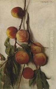 Peach Boughs Peach Boughs