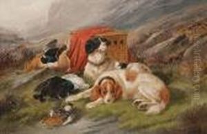 The Day's Bag by John Gifford