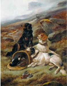 The Highland Trio, English And Gordon Setters by John Gifford
