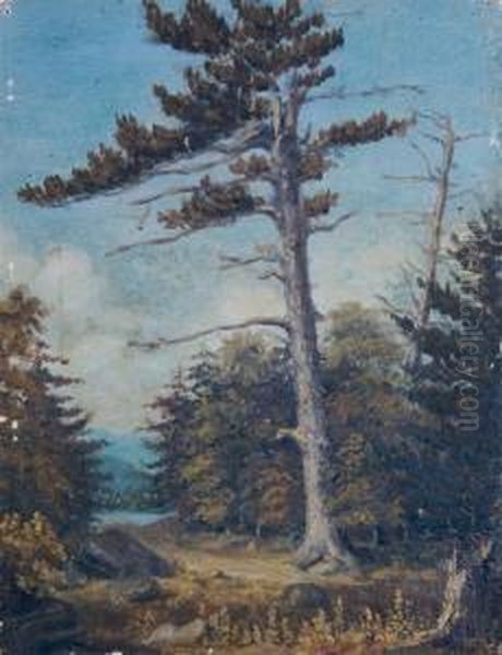 Large Tree - view 1