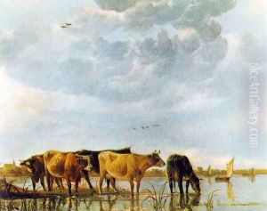 Cows in the Water