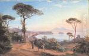 Veduta Del Golfo Di Napoli by Ercole Gigante