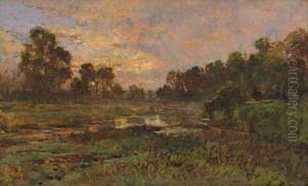 Acquitrino - view 1