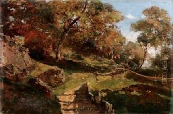 Lavoro Nel Bosco - view 1