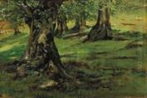 La Passeggiata Delle Monache A Levo by Eugenio Gignous