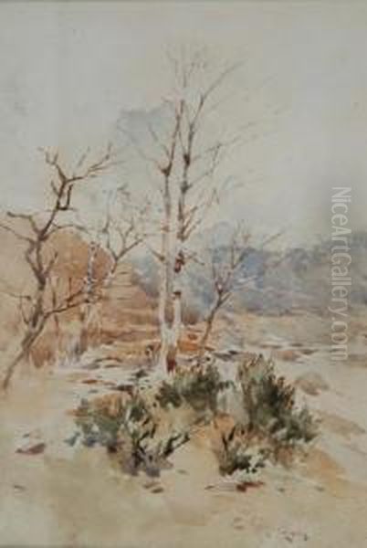 Alberi - view 1