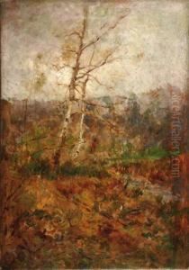Bosco Di Betulle by Eugenio Gignous