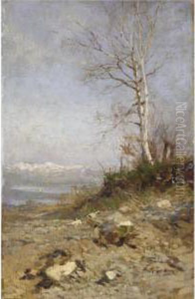 Betulla In Riva Al Lago - view 1