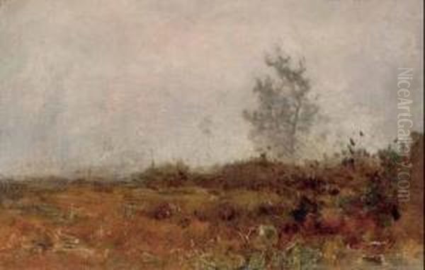 Paesaggio - view 1