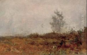 Paesaggio Paesaggio