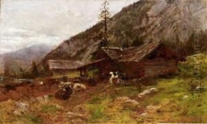 Pascolo In Alta Montagna