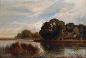 Cattle Watering In A Summer River Landscape