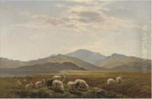 In The Valley Near Strata