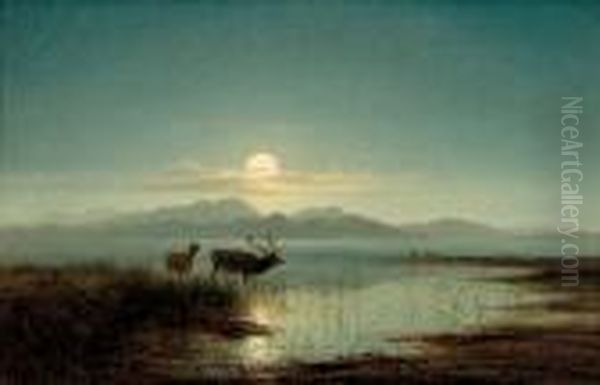 Stag Watering By Moonlight - view 1
