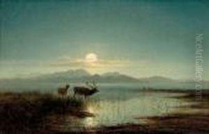 Stag Watering By Moonlight by Arthur Gilbert