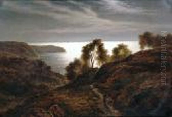Isle Of Wight Coast - view 1