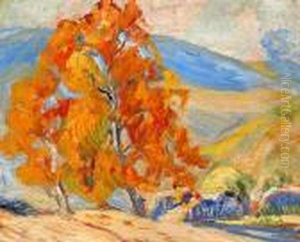 Orange Trees - view 1