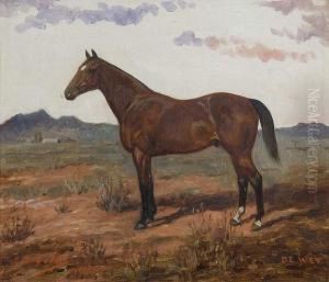 Study Of A Bay Stallion: "de Wet" Study Of A Bay Stallion: "de Wet"
