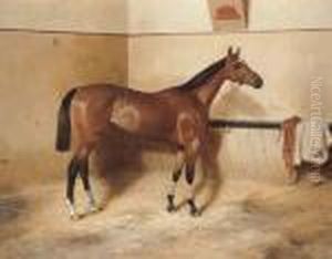 Lady Minting In A Stable Lady Minting In A Stable