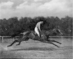 "flying Fox", Ne En 1896, Par
Orme Et Vampire Vainqueur Des Deux Mille Guinees, Du Derby D'epsom, Du
Saint-leger De Doncaster "flying Fox", Ne En 1896, Par
Orme Et Vampire Vainqueur Des Deux Mille Guinees, Du Derby D'epsom, Du
Saint-leger De Doncaster