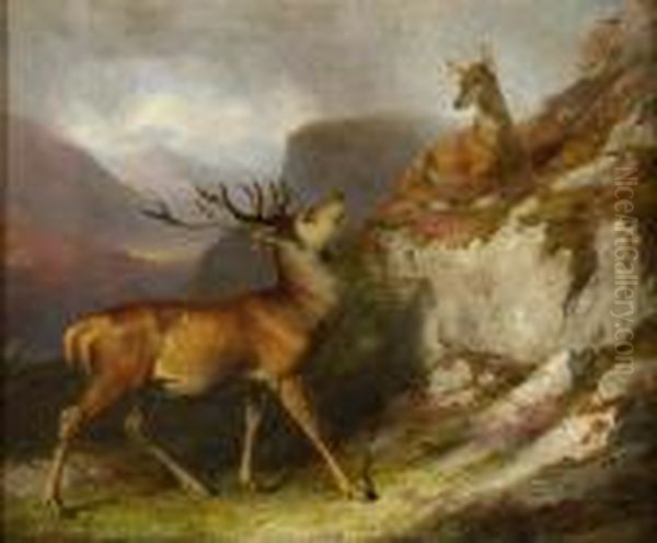 Stag And Hind In A Highland Landscape - view 1