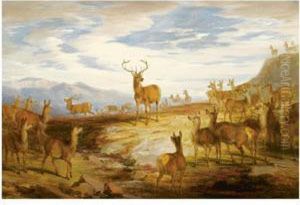 The Triumphant Stag