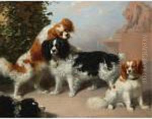 Mr. J. A. Sandiland's King Charles Spaniels by James William Giles