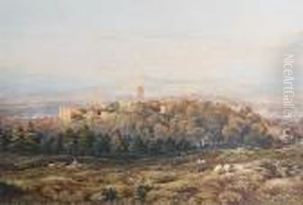 A View Of Ludlow Castle - view 1