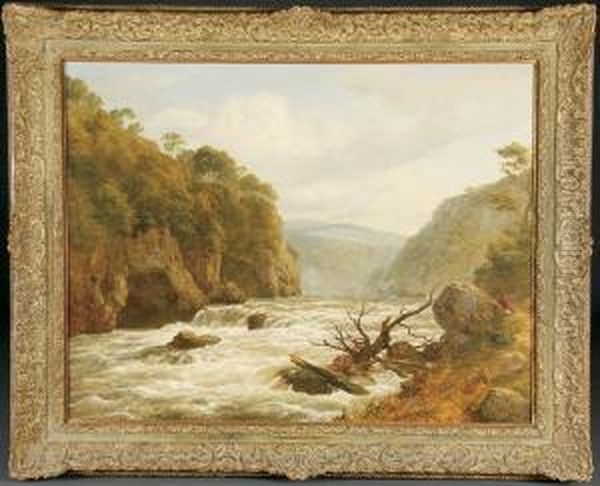 Rapids On The River Clyde - view 1