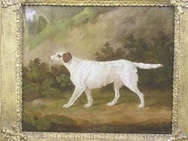The Celebrated Setter Purchased 
At Major Henry Lyon's Sale By Phillips Son &amp; Neale 2nd July 1888 - view 1
