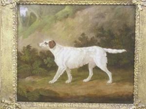 The Celebrated Setter Purchased 
At Major Henry Lyon's Sale By Phillips Son &amp; Neale 2nd July 1888