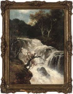 Waterfall, Autumn by Edmund Gill