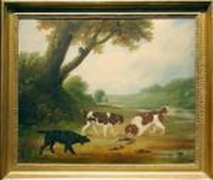 Three Spaniels With The Day's Catch