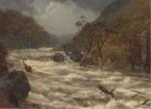 The Lludwy In Full Spate, North Wales