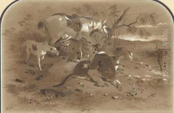 Death Of A Kangaroo - view 1