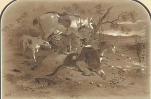 Death Of A Kangaroo