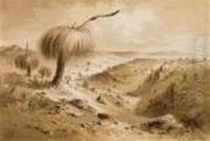 Grass Tree by Samuel Thomas Gill
