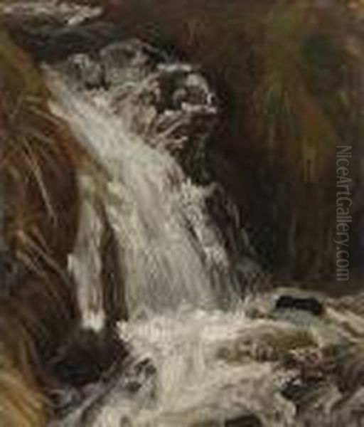 Gischtender Wasserfall. - view 1