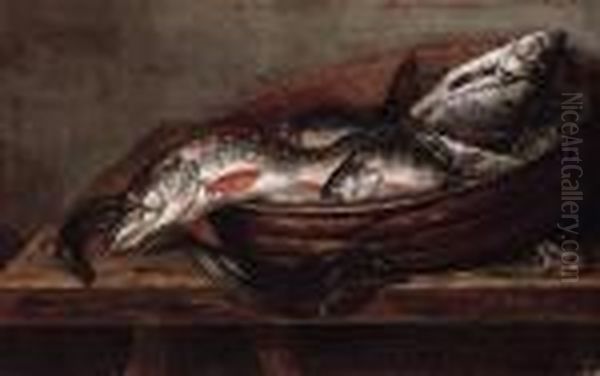 Dead Fish In A Bowl On A Table With A Dead Frog - view 1