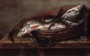 Dead Fish In A Bowl On A Table With A Dead Frog Dead Fish In A Bowl On A Table With A Dead Frog