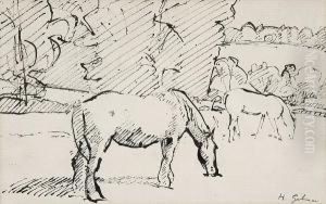 Horses Grazing