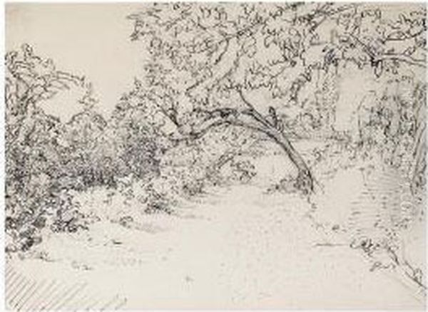 Fallen Trees And Garden - view 1