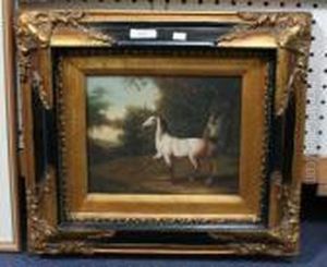 Study Of A Grey Horse In Profile Within A Landscape
