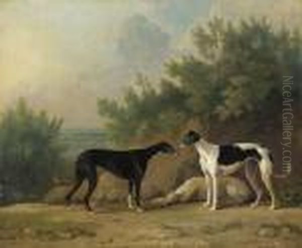 Three Greyhounds In An Extensive Landscape - view 1