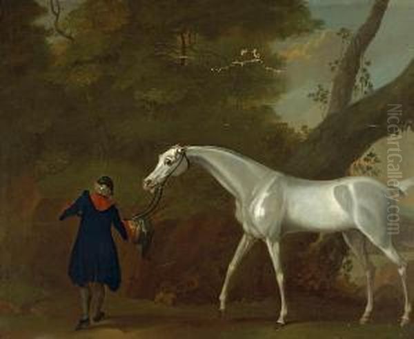 Lord Cravens Grey Mare - view 1
